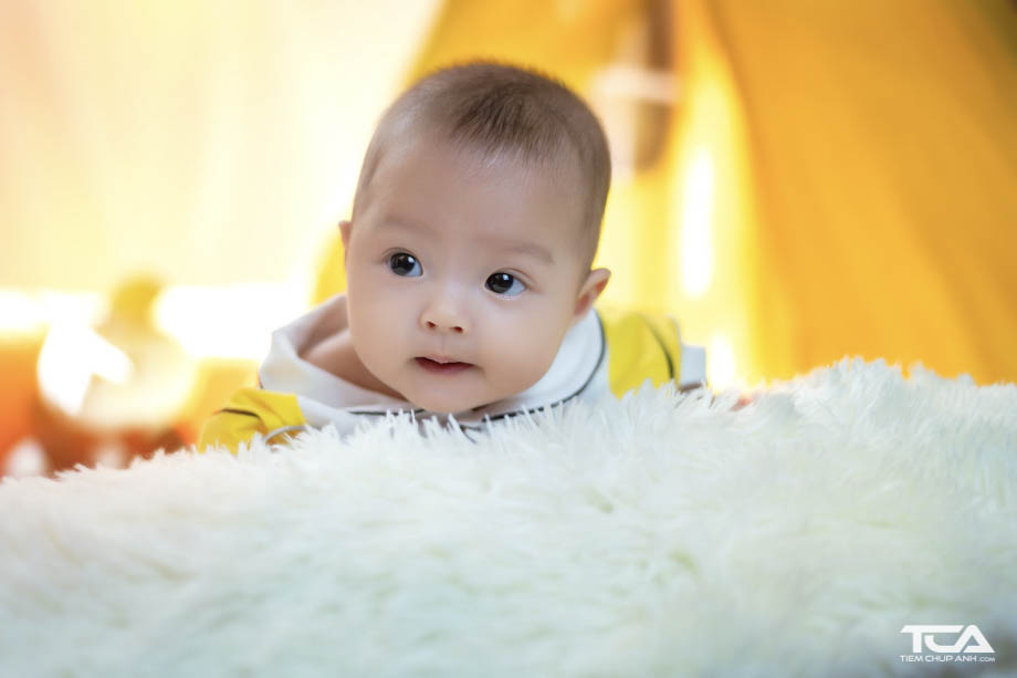 concept chụp ảnh cho bé trai